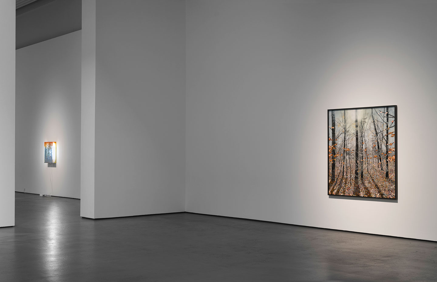 Idyll and Apocalypse