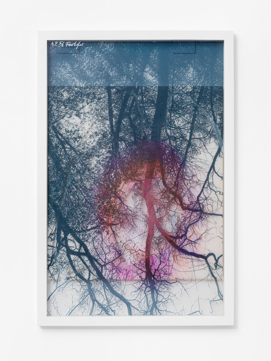 IV – from X-Rays of Sunlight“