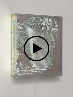 Self-Destruction III